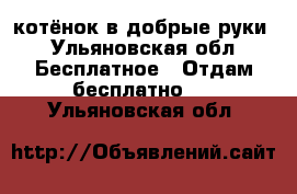 котёнок в добрые руки - Ульяновская обл. Бесплатное » Отдам бесплатно   . Ульяновская обл.